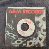 DICKIES BANANA SPLITS WHITE LABEL PROMO SOUNDS OF SILENCE WLP A&M 2241-S