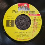 BUJU BANTON HILLS AND VALLYS VALLEYS JAMAICA IMPORT