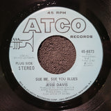 JESSE ED DAVIS SUE ME SUE YOU BLUES WLP MONO WHITE LABEL PROMO ATCO 45-6873