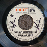 JOHN AND HERB I STARTED A JOKE WHITE LABEL PROMO DOT 45-17182 PAIN REMEMBERING