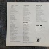 HONK SELF TITLED S/T W/ INSERT SELF TITLED