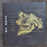 EXPLODED VIEW SELF TITLED LIMITED EDITION NUMBERED VINYL