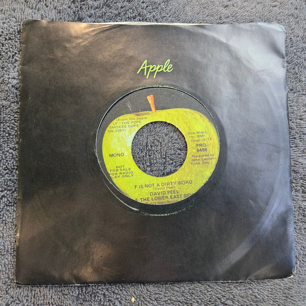 DAVID PEEL & THE LOWER EAST SIDE F IS NOT A DIRTY WORD MONO PROMO APPLE PRO 6498