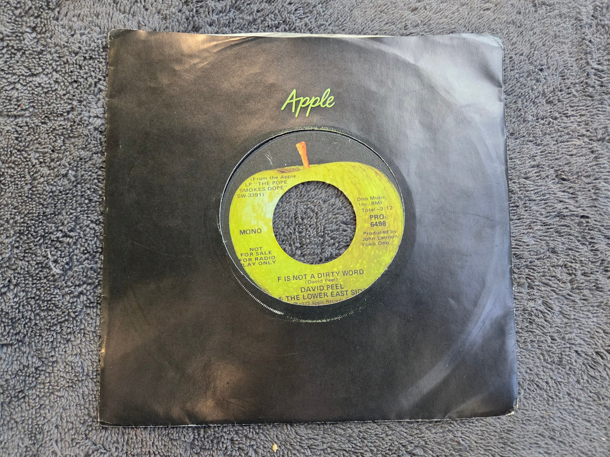DAVID PEEL & THE LOWER EAST SIDE F IS NOT A DIRTY WORD MONO PROMO APPLE PRO 6498