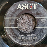 PAUL MARTIN SNAKE IN THE GRASS  IVE GOT A NEW LOVE ASCOT