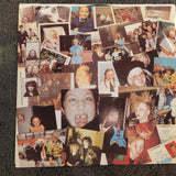 FUZZBOX WEVE GOT A FUZZBOX AND WERE GONNA USE IT