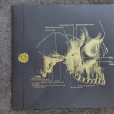 EXPLODED VIEW SELF TITLED LIMITED EDITION NUMBERED VINYL