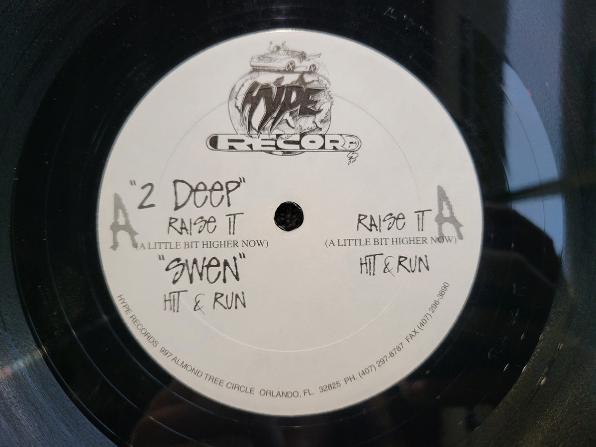2 DEEP SWEN RAISE IT HIT & RUN HYDE RECORDS