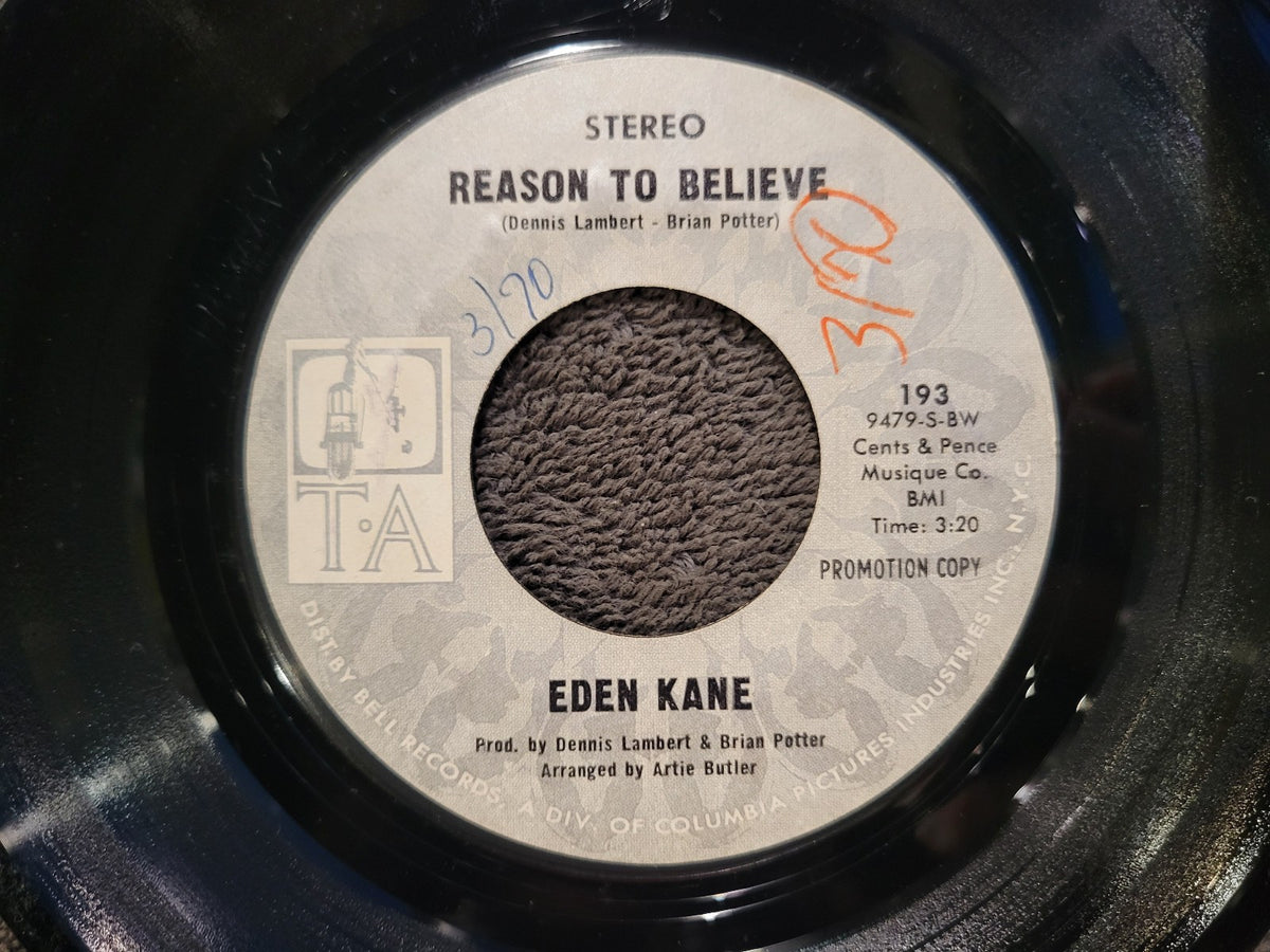 EDEN KANE REASON TO BELIEVE MONO  WHITE LABEL PROMO