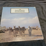 TEARDROP EXPLODES KILIMANJARO IMPORT UK JULIAN COPE