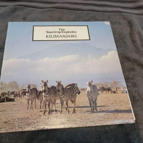 TEARDROP EXPLODES KILIMANJARO IMPORT UK JULIAN COPE