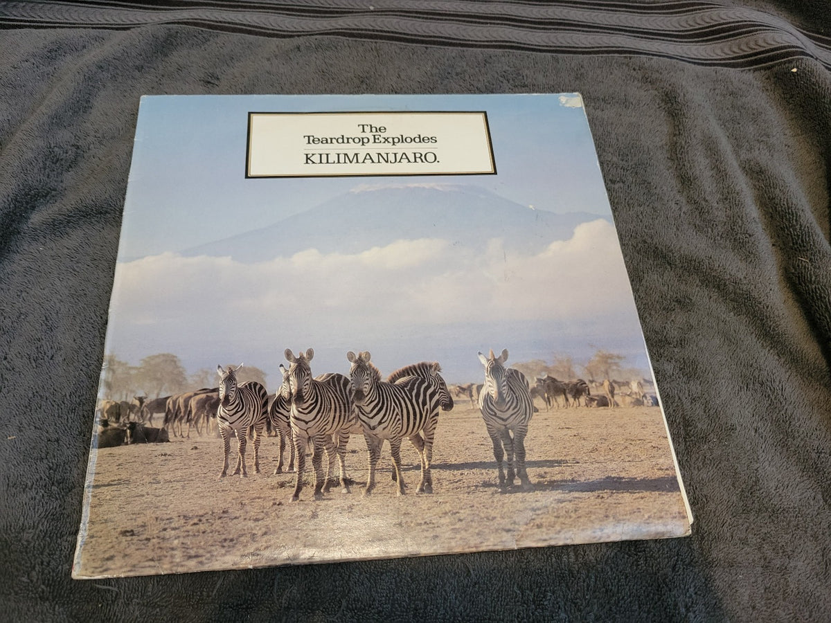 TEARDROP EXPLODES KILIMANJARO IMPORT UK JULIAN COPE