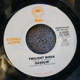 GASOLIN' GASOLINE  TWILIGHT BIRDS WHITE LABEL PROMO WLP EPIC 8-50302 MONO