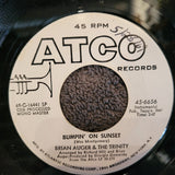 BRIAN AUGER & THE TRINITY A DAY IN THE LIFE BUMPIN' ON SUNSET ATCO 45-6656 WLP