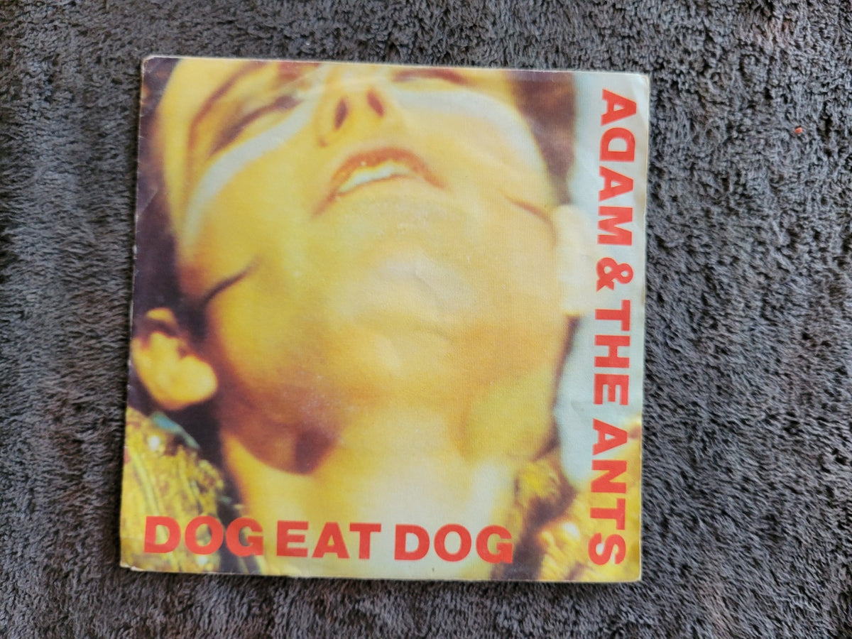 ADAM & THE ANTS DOG EAT DOG PICTURE SLEEVE IMPORT NETHERLANDS PHYSICAL YOU'RE SO