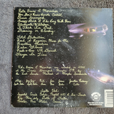 LOST SOUNDS RAT'S BRIANS & MICROCHIPS GRAY MARBLE VINYL