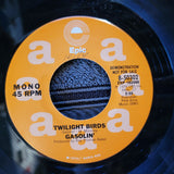 GASOLIN' GASOLINE  TWILIGHT BIRDS WHITE LABEL PROMO WLP EPIC 8-50302 MONO