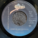 JOAN JETT BLACKHEARTS FAKE FRIENDS CONEY ISLAND WHITEFISH IMPORT PICTURE SLEEVE