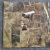 LIFESAVAS SPIRIT IN STONE