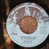 GENESIS I KNOW WHAT I LIKE IN YOUR WARDROBE MONO MAD HATTER WHITE LABEL PROMO