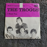 TROGGS WITH A GIRL LIKE YOU IMPORT SWEDEN FONTANA PICTURE SLEEVE
