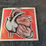 PULSE LITTLE BIT O SOUL PICTURE SLEEVE MADALYNN UNIVERSAL EXPORT RECORDS