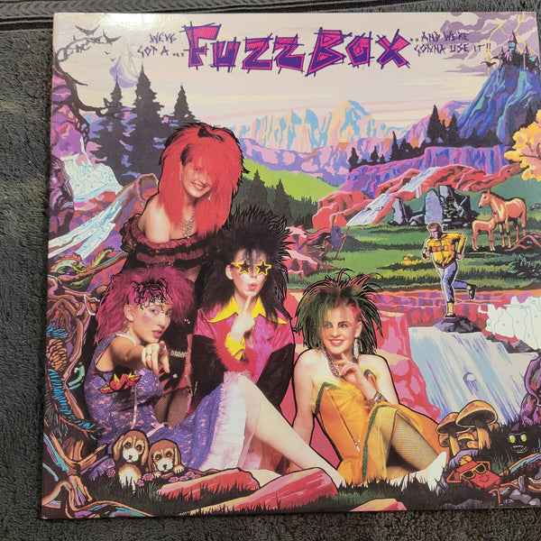 FUZZBOX WEVE GOT A FUZZBOX AND WERE GONNA USE IT