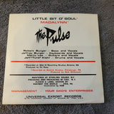 PULSE LITTLE BIT O SOUL PICTURE SLEEVE MADALYNN UNIVERSAL EXPORT RECORDS