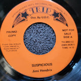 JIMI HENDRIX SUSPICIOUS PROMO HOT TRIGGER TRIP TX-3002 DJ