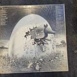 FREDDIE KING TEXAS CANNONBALL SHELTER SHRINK