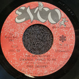 FREE DELIVERY THE MOON DOES STRANGE THINGS TO ME w/ RARE PICTURE SLEEVE