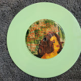 BREEDERS HEAD TO TOE MINT GREEN VINYL PS PICTURE SLEEVE PIXIES