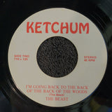BEAST THIS AIN'T NO RIDE ITS SUICIDE KETCHUM 710 x 125 I'M GOING BACK TO WOODS