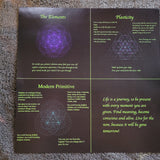 POLYELECTRIX STAR SYSTEMS LIGHT TRAVELERS