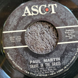 PAUL MARTIN SNAKE IN THE GRASS  IVE GOT A NEW LOVE ASCOT
