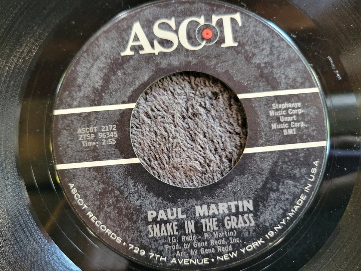 PAUL MARTIN SNAKE IN THE GRASS  IVE GOT A NEW LOVE ASCOT