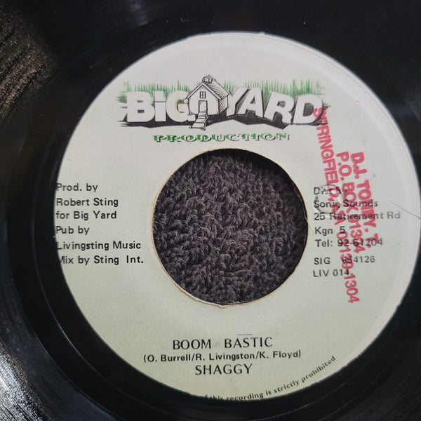 SHAGGY BOOM BASTIC JAMAICA IMPORT