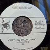 SOMETHING SPECIAL BAND SELF TITLED NIGHT HAWK UR 1894 NIGHTSTALKER