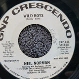 NEIL NORMAN WILD BOYS WHITE LABEL PROMO WLP GNP CRESCENDO 436