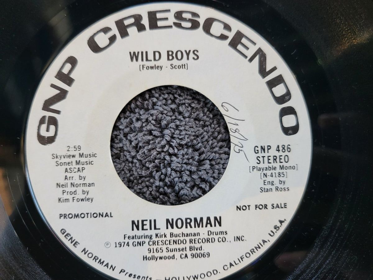 NEIL NORMAN WILD BOYS WHITE LABEL PROMO WLP GNP CRESCENDO 436