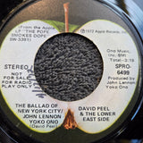 DAVID PEEL & THE LOWER EAST SIDE F IS NOT A DIRTY WORD MONO PROMO APPLE PRO 6498