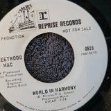FLEETWOOD MAC THE GREEN MANALISHI WHITE LABEL PROMO WORLD IN HARMONY PETER GREEN