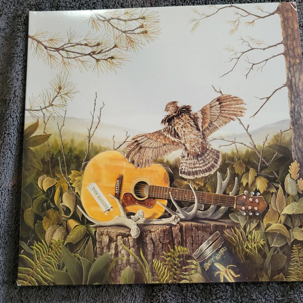DANDY WARHOLS THIS MACHINE